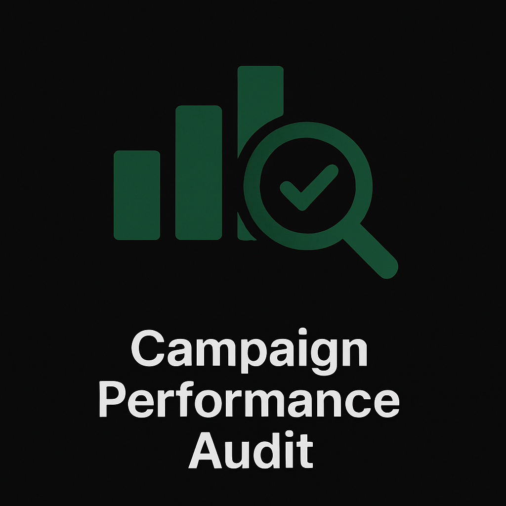Campaign Perfomance Audit